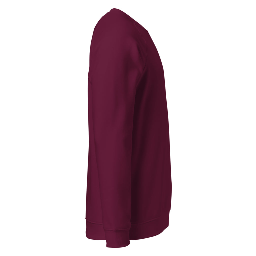 Organic Raglan Sweatshirt 'Grape' - TWU Clothing